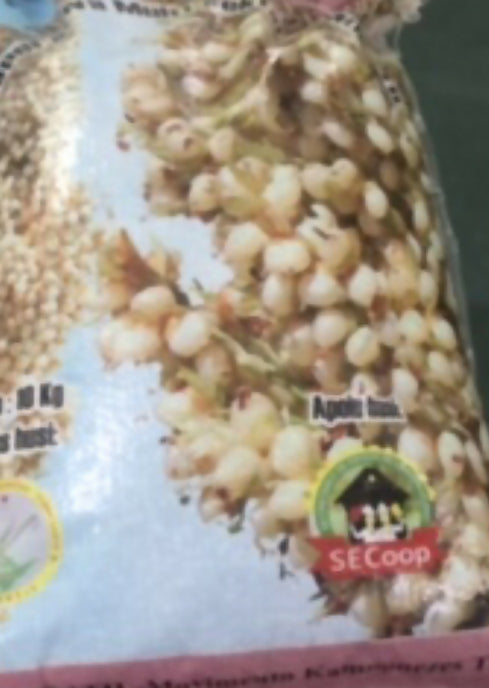 Sorghum BaFo Kayrala