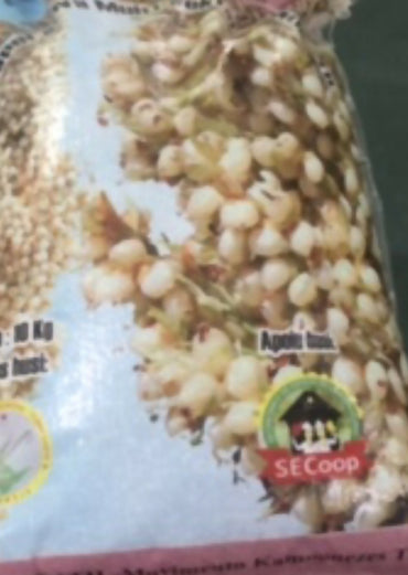 Sorghum BaFo Kayrala