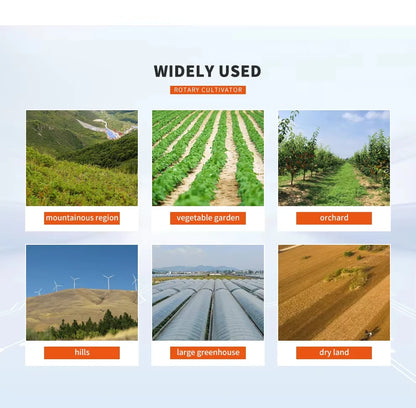 Professional Manufacturer Sell Small Mini Four-Wheel Tractor   Mini Agricultural Tractor in Promotional Price