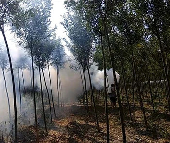 Lightweight Orchard Pesticide Misting Machine Double Tube Pulse Sprayer Knapsack Used New Farm Misting Smoke Machine Spraying