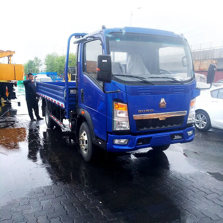 Sinotruk New Howo 5 Tons 10 Tons 4x2 Sinotruck Light Cargo Truck for Sale