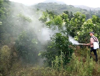 Lightweight Orchard Pesticide Misting Machine Double Tube Pulse Sprayer Knapsack Used New Farm Misting Smoke Machine Spraying