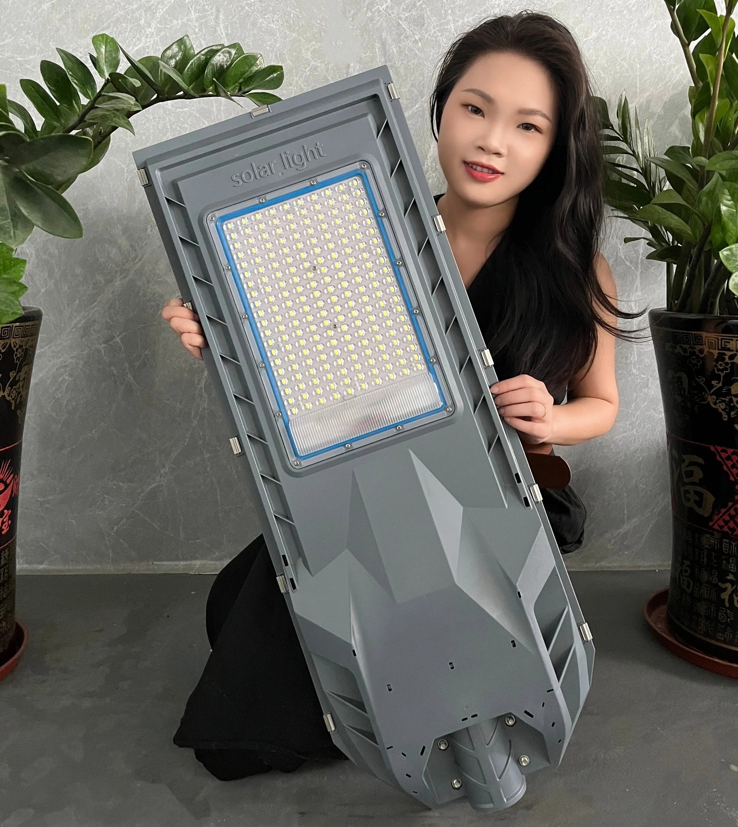 8000K High Lumen LED Solar Street Light 500W & 1000W IP67 Waterproof Outdoor Waterproof Solar Street Lamp with Induction