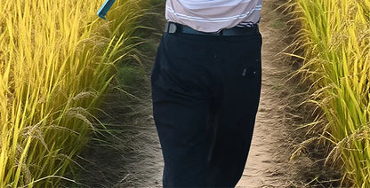 High Efficiency Grain Sorting and Seed Cleaning Machine Agriculture Winnower and Vibration Screening Machine