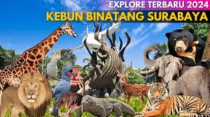 Package Tour Surabaya, Bondowoso, Jember