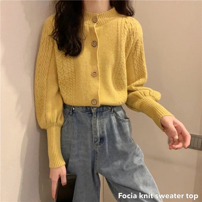 Focia Knit Sweater Top