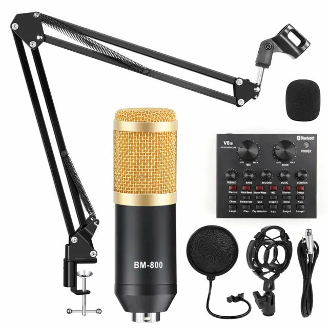 Microphone Condenser Recording Profesional Broadcasting